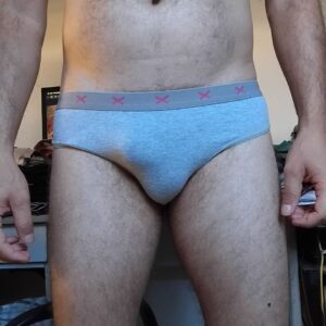 Cueca Slip Cinza P/M Hering