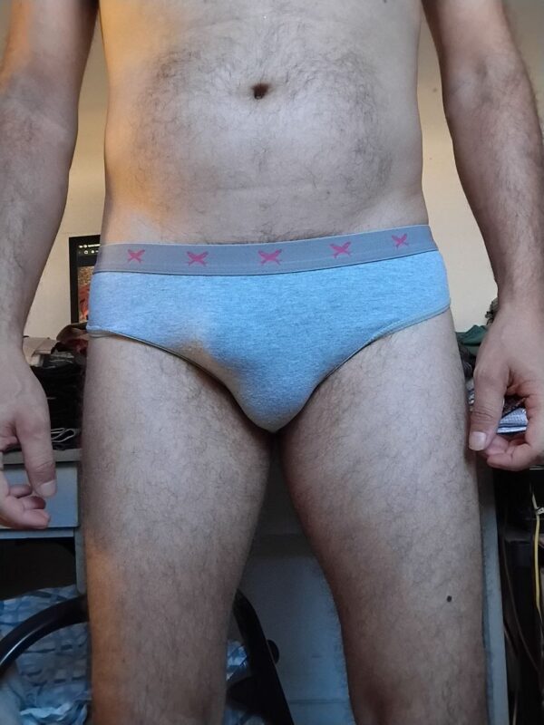 Cueca Slip Cinza P/M Hering