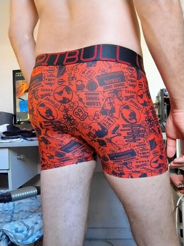 Cueca Boxer Vermelha Estampada M Pitbull - Imagem 2
