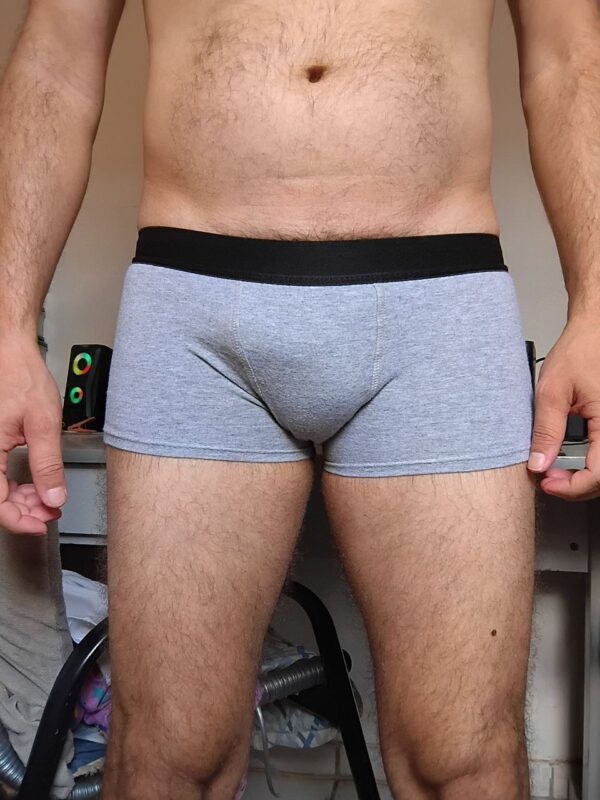Cueca Sungão Cinza PP