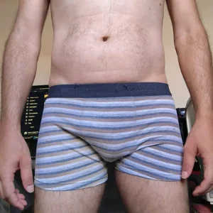 Cueca Sungão Cinza Listrada P/M Hering