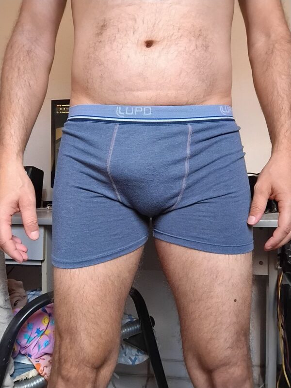 Cueca Boxer Cinza P/M Lupo