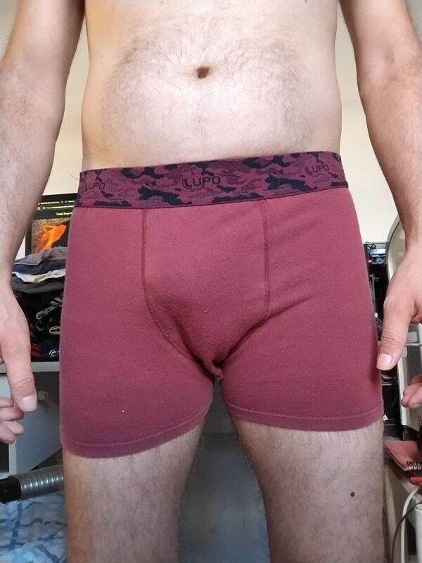 Cueca Boxer Marrom M/G Lupo