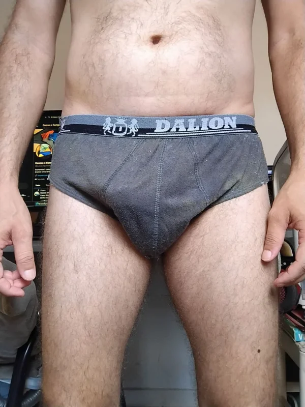 Cueca Slip Cinza M/G Dalion