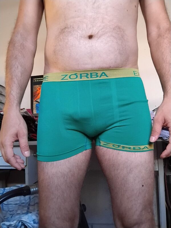 Cueca Boxer Verde P Zorba