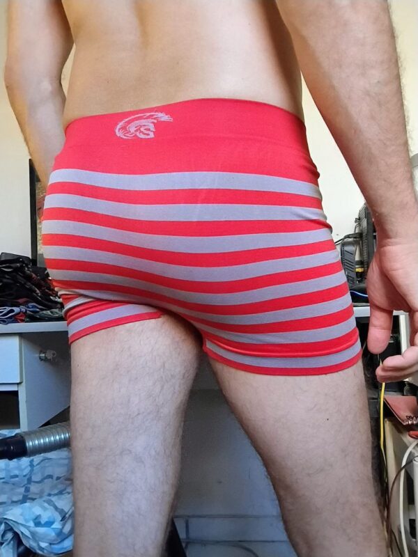Cueca Boxer Vermelha Listrada P/M Gladius - Imagem 2