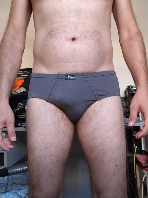 Cueca Slip Cinza P/M Polo World
