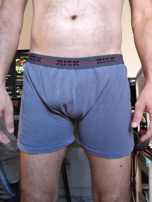 Cueca Boxer Cinza G Risk