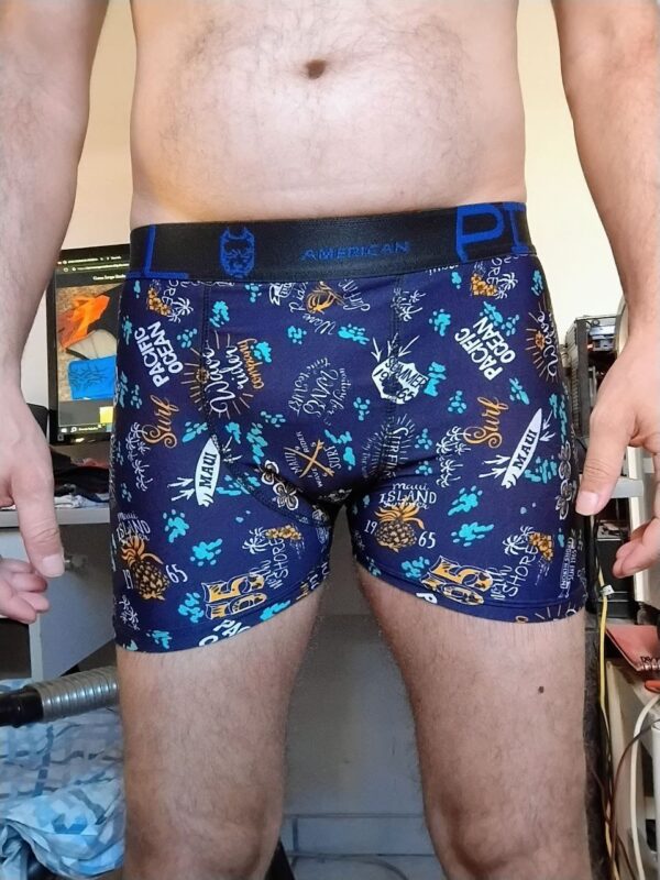 Cueca Boxer Azul Estampada P Pitbull