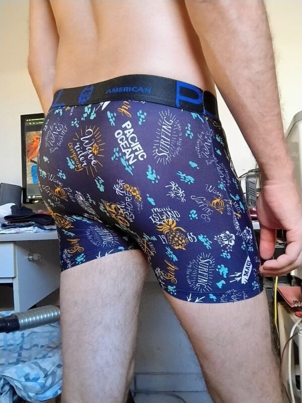 Cueca Boxer Azul Estampada P Pitbull - Imagem 2