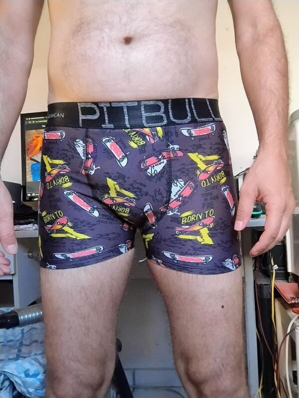 Cueca Boxer Cinza Estampada P Pitbull