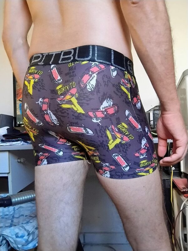 Cueca Boxer Cinza Estampada P Pitbull - Imagem 2
