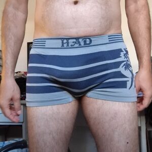 Cueca Sungão Cinza Estampada P Had