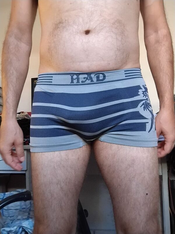 Cueca Sungão Cinza Estampada P Had