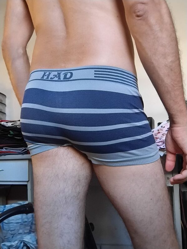 Cueca Sungão Cinza Estampada P Had - Imagem 2