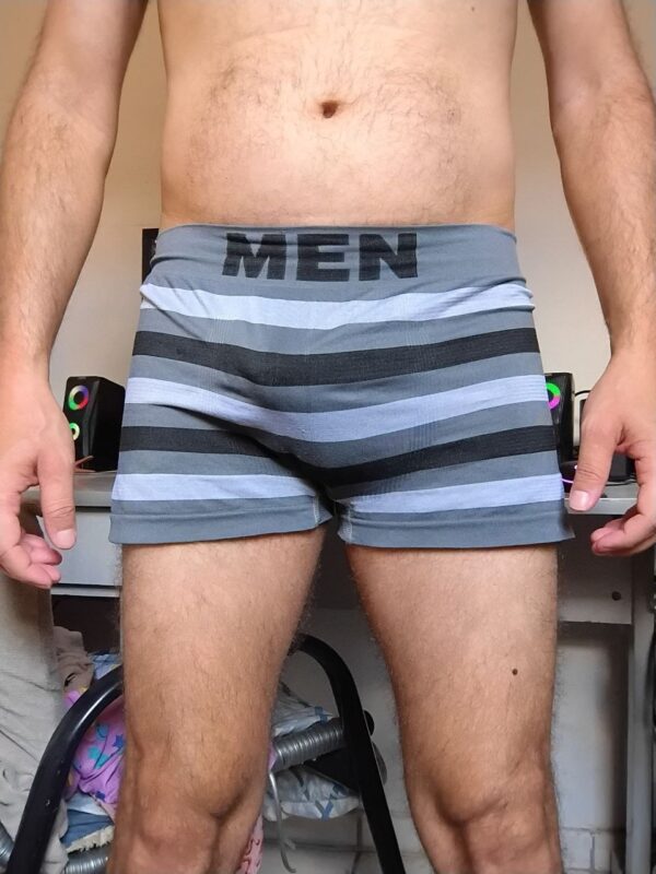 Cueca Sungão Cinza Listrado G Men