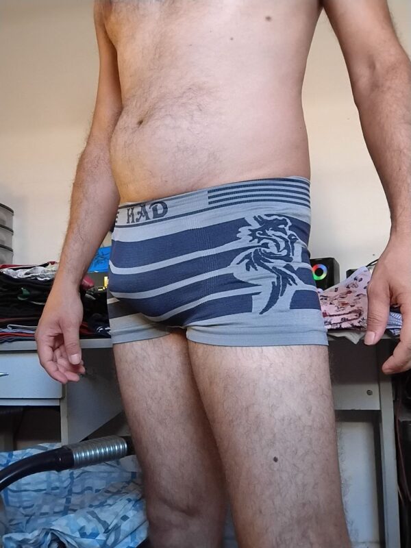Cueca Sungão Cinza Estampada P Had - Imagem 3